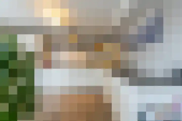 Zeggegors 24 Mijnsheerenland thumbnail 23