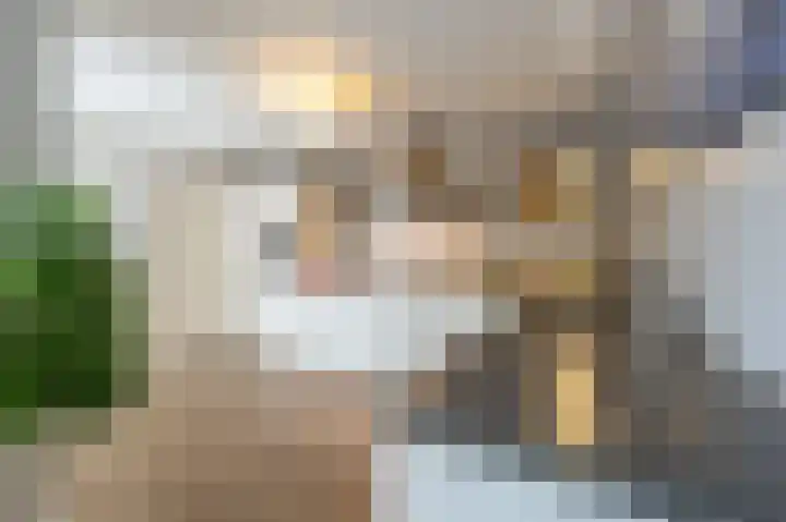 Zeggegors 24 Mijnsheerenland thumbnail 24