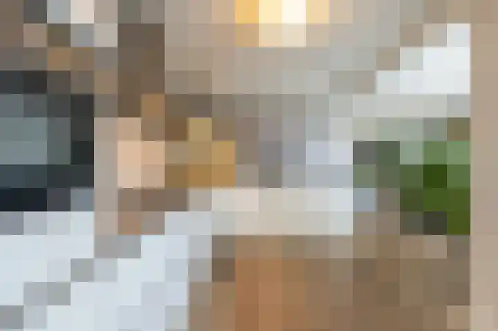 Zeggegors 24 Mijnsheerenland thumbnail 25