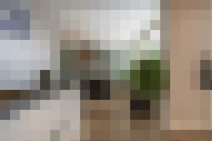 Zeggegors 24 Mijnsheerenland thumbnail 26