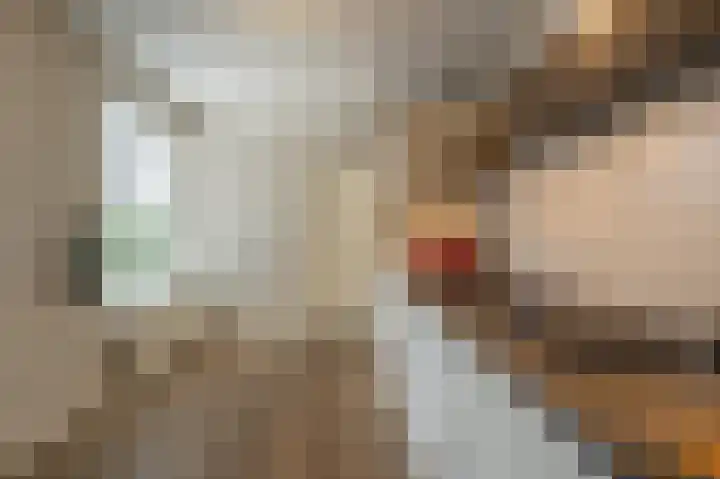 Zeggegors 24 Mijnsheerenland thumbnail 27