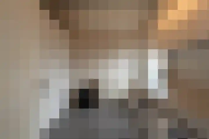 Zeggegors 24 Mijnsheerenland thumbnail 28