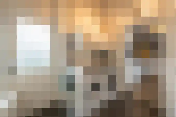Zeggegors 24 Mijnsheerenland thumbnail 29
