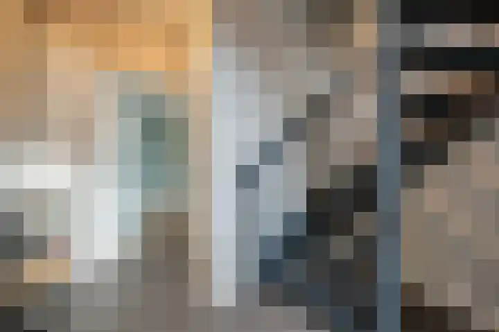 Zeggegors 24 Mijnsheerenland thumbnail 30