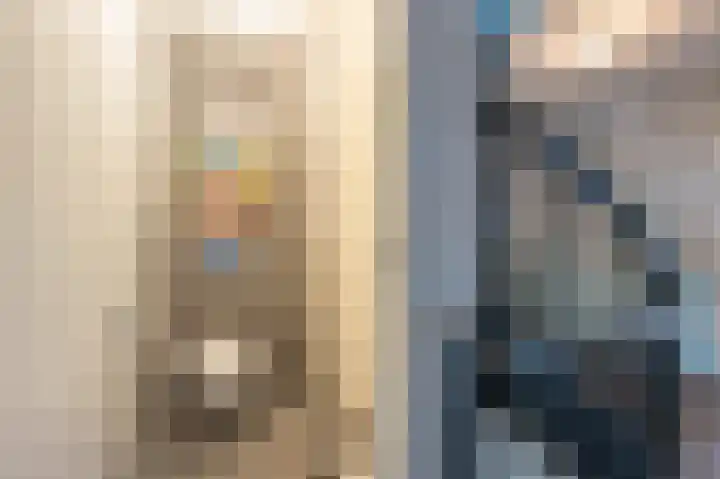 Zeggegors 24 Mijnsheerenland thumbnail 31