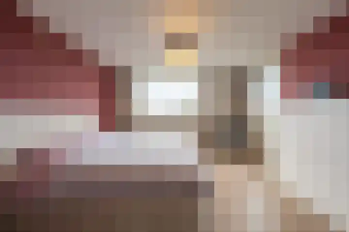 Zeggegors 24 Mijnsheerenland thumbnail 33