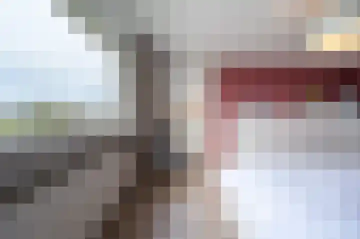 Zeggegors 24 Mijnsheerenland thumbnail 35