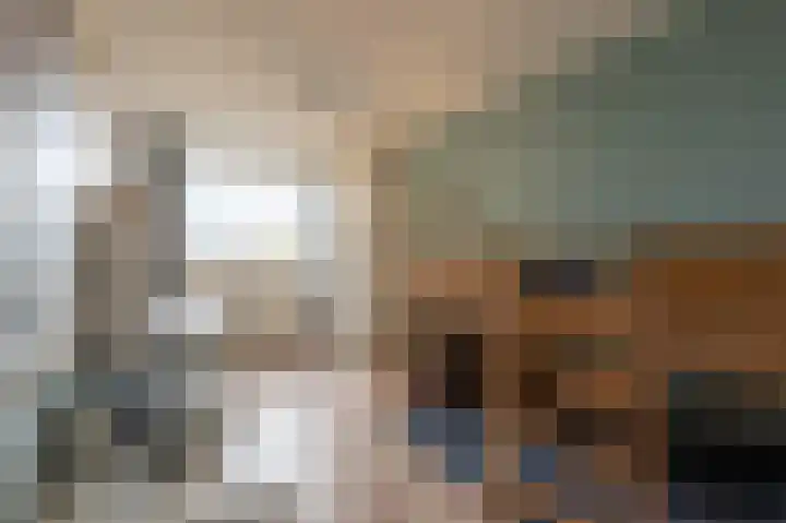 Zeggegors 24 Mijnsheerenland thumbnail 36