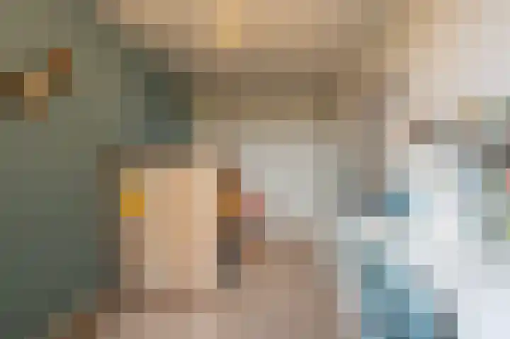Zeggegors 24 Mijnsheerenland thumbnail 37