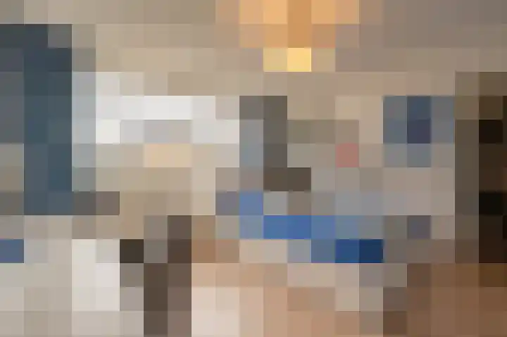 Zeggegors 24 Mijnsheerenland thumbnail 39