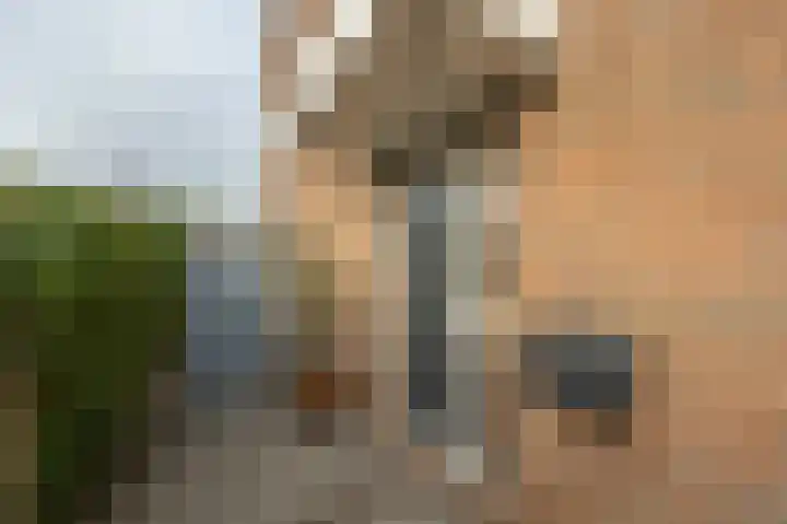Zeggegors 24 Mijnsheerenland thumbnail 4