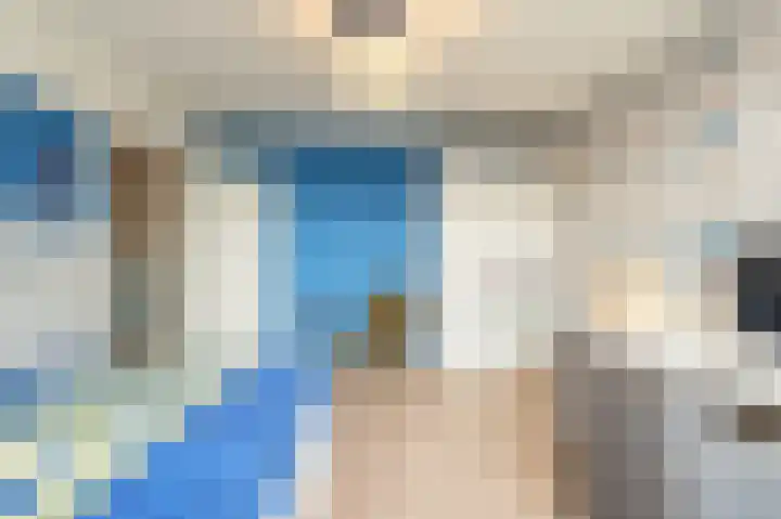 Zeggegors 24 Mijnsheerenland thumbnail 40