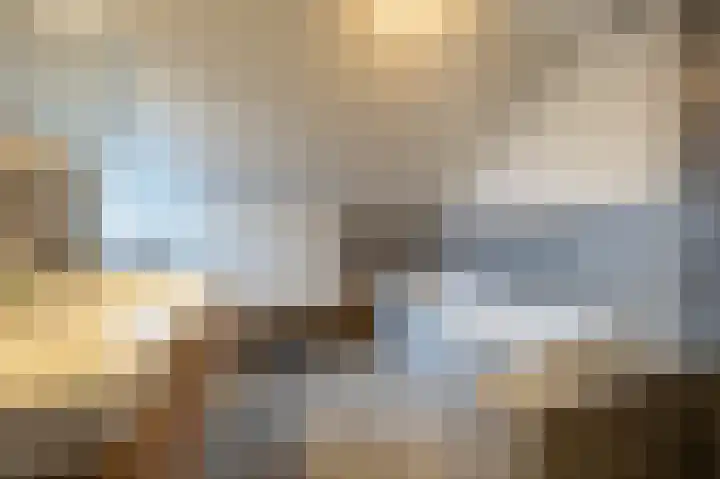 Zeggegors 24 Mijnsheerenland thumbnail 41