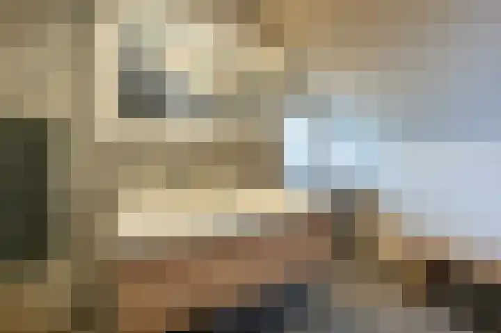 Zeggegors 24 Mijnsheerenland thumbnail 42