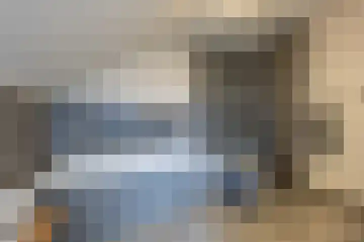 Zeggegors 24 Mijnsheerenland thumbnail 43