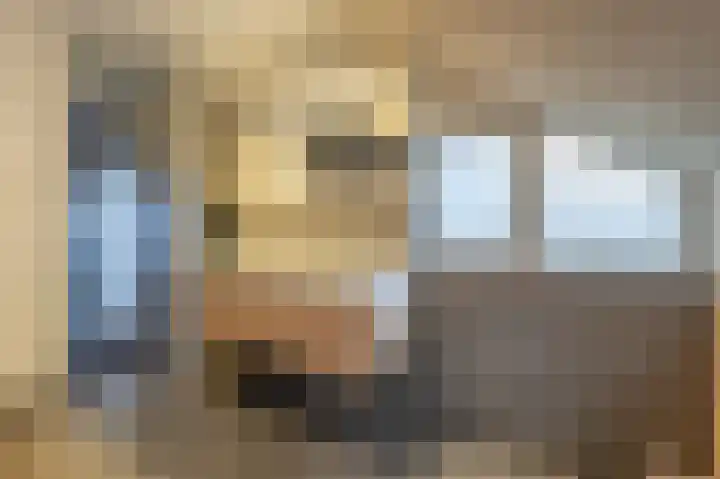 Zeggegors 24 Mijnsheerenland thumbnail 44
