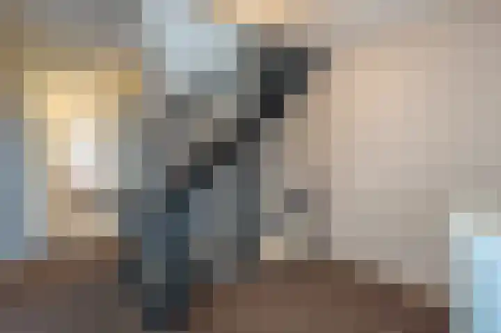 Zeggegors 24 Mijnsheerenland thumbnail 45