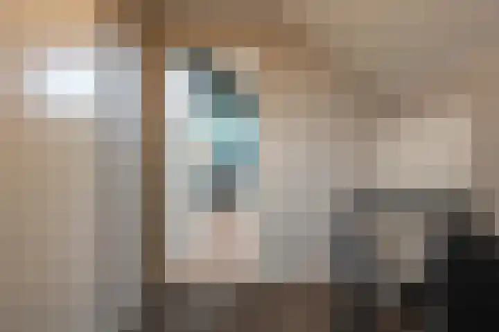 Zeggegors 24 Mijnsheerenland thumbnail 46
