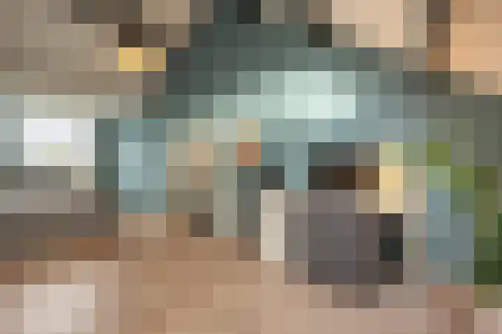 Zeggegors 24 Mijnsheerenland thumbnail 47