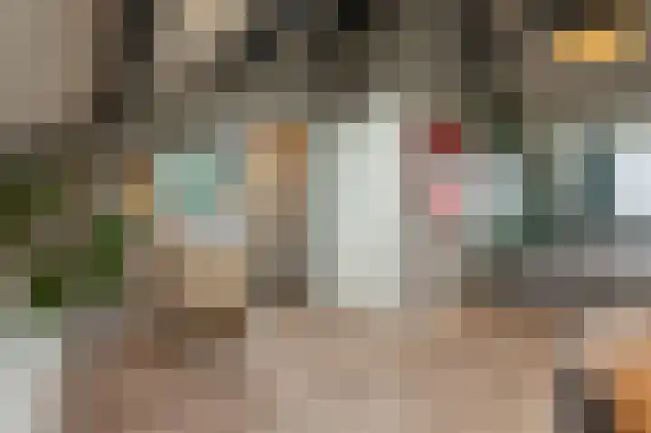 Zeggegors 24 Mijnsheerenland thumbnail 48