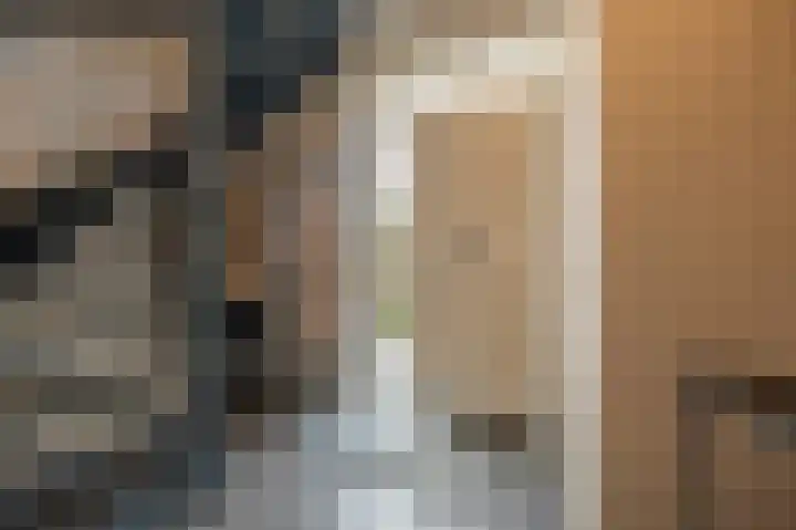 Zeggegors 24 Mijnsheerenland thumbnail 5