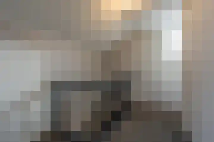 Zeggegors 24 Mijnsheerenland thumbnail 50