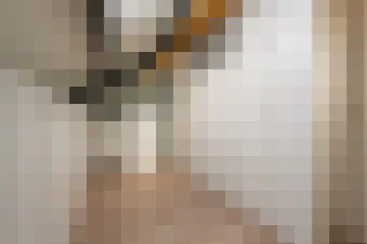 Zeggegors 24 Mijnsheerenland thumbnail 52