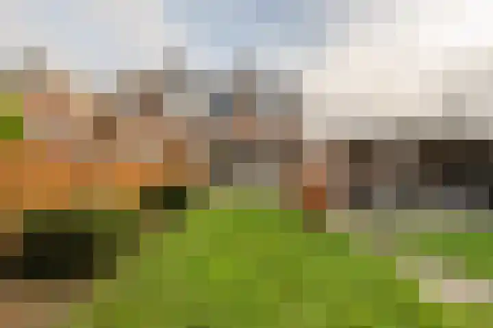 Zeggegors 24 Mijnsheerenland thumbnail 54