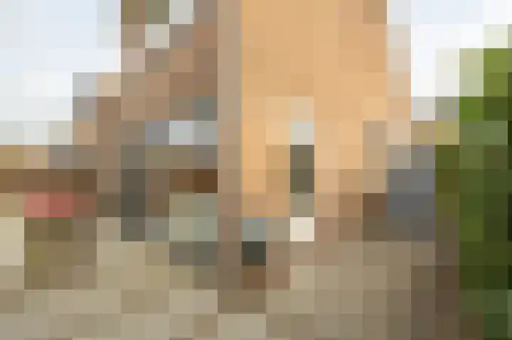 Zeggegors 24 Mijnsheerenland thumbnail 55