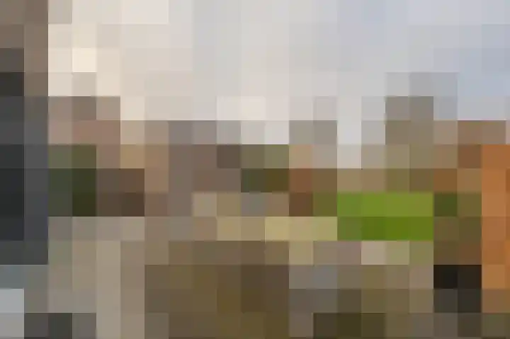 Zeggegors 24 Mijnsheerenland thumbnail 56