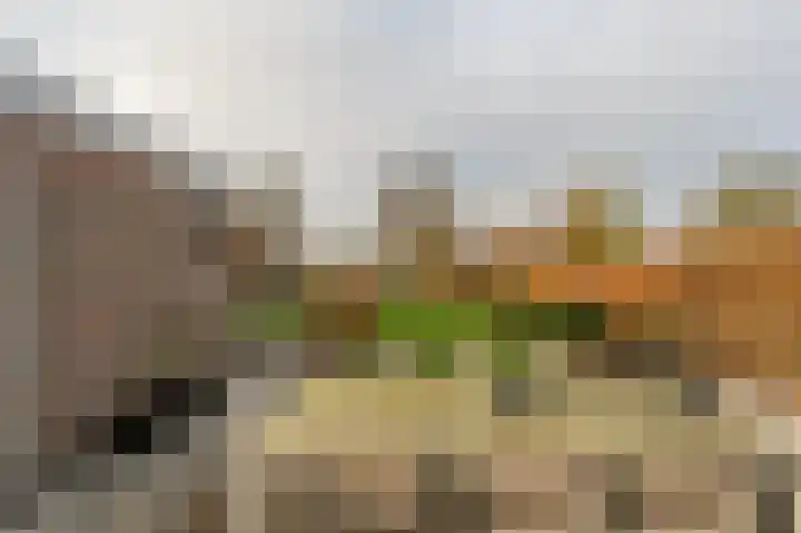 Zeggegors 24 Mijnsheerenland thumbnail 58