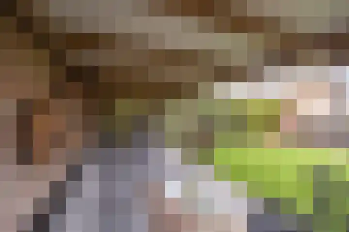 Zeggegors 24 Mijnsheerenland thumbnail 59