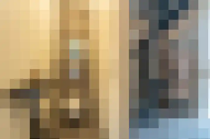 Zeggegors 24 Mijnsheerenland thumbnail 6