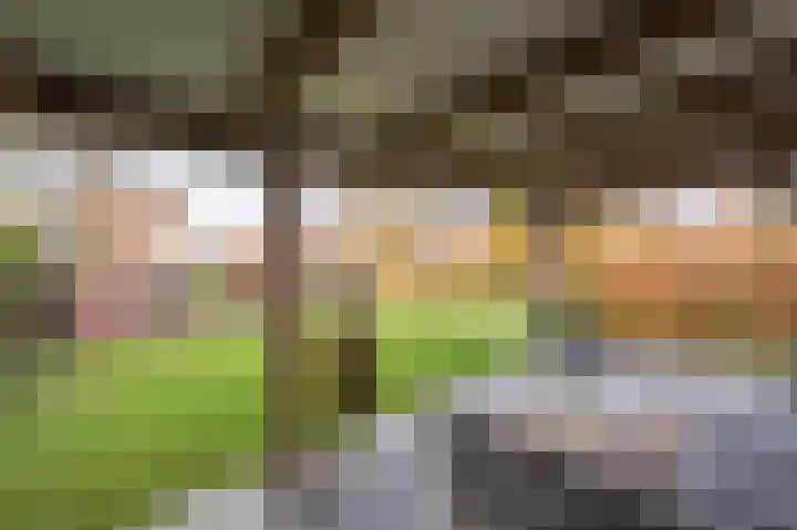 Zeggegors 24 Mijnsheerenland thumbnail 60