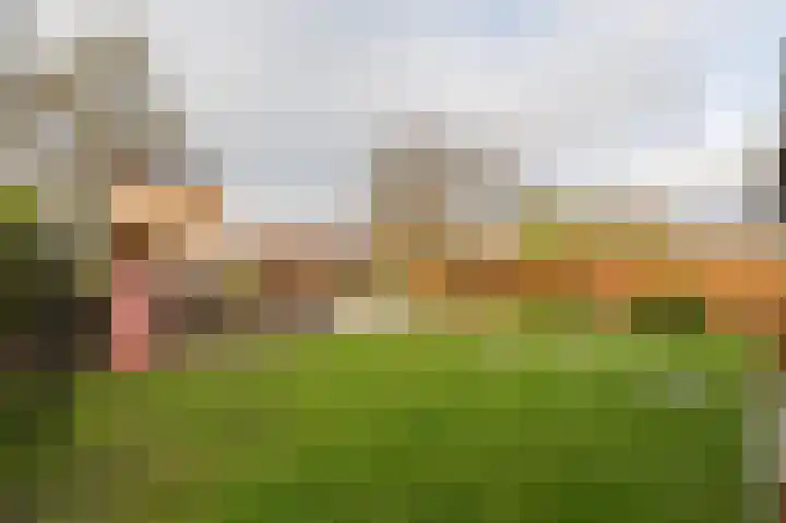 Zeggegors 24 Mijnsheerenland thumbnail 61