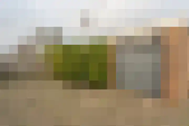 Zeggegors 24 Mijnsheerenland thumbnail 62