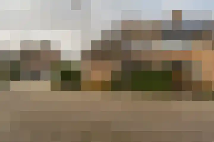 Zeggegors 24 Mijnsheerenland thumbnail 63