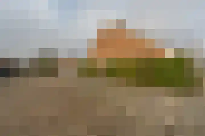 Zeggegors 24 Mijnsheerenland thumbnail 64
