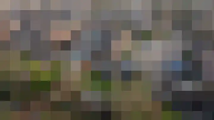 Zeggegors 24 Mijnsheerenland thumbnail 65