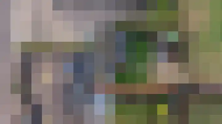 Zeggegors 24 Mijnsheerenland thumbnail 66