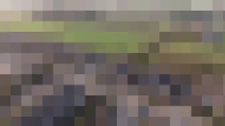 Zeggegors 24 Mijnsheerenland thumbnail 67