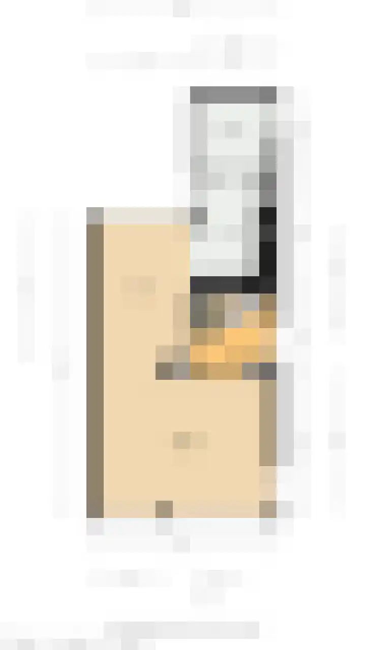 Zeggegors 24 Mijnsheerenland thumbnail 68