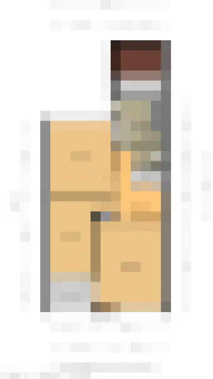 Zeggegors 24 Mijnsheerenland thumbnail 69
