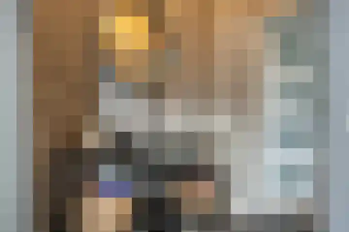 Zeggegors 24 Mijnsheerenland thumbnail 7