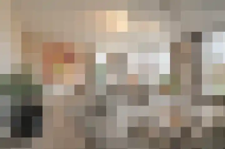 Zeggegors 24 Mijnsheerenland thumbnail 9