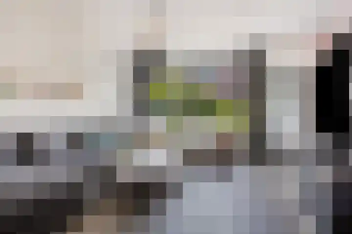 Zeggegors 50 Mijnsheerenland thumbnail 10