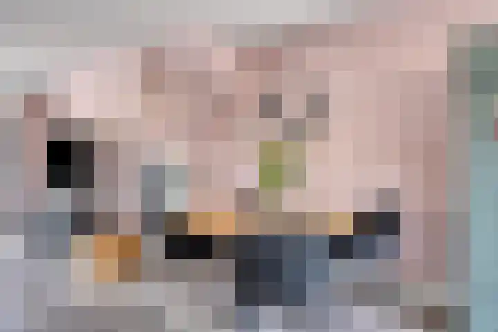 Zeggegors 50 Mijnsheerenland thumbnail 11