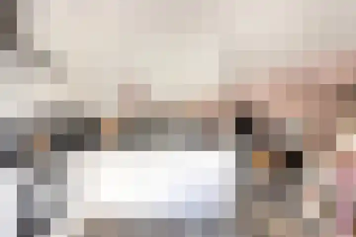 Zeggegors 50 Mijnsheerenland thumbnail 14