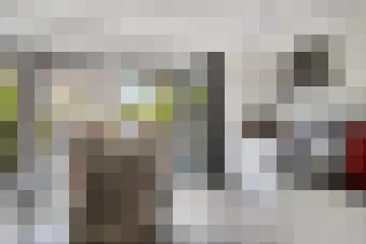 Zeggegors 50 Mijnsheerenland thumbnail 15