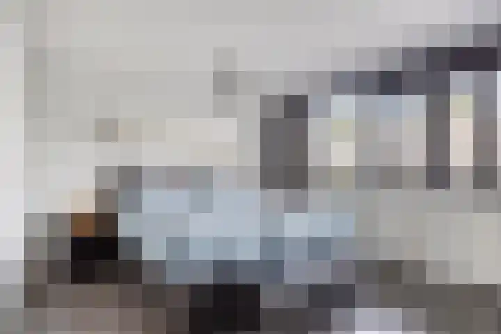 Zeggegors 50 Mijnsheerenland thumbnail 16